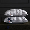 Luxury Axyaa Down-Like Fiber Pillow with 100% Cotton Case, 5-Star Quality