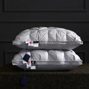 Luxury Axyaa Down-Like Fiber Pillow with 100% Cotton Case, 5-Star Quality