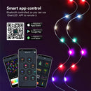 Axyaa RGBIC Dreamcolor LED Fairy Lights USB 5V