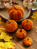 Axyaa Velvet Pumpkin Decoration Set for Fall Home Decor & Gifts