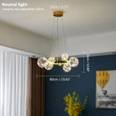Axyaa Nordic Ring Star Chandelier Glass Ball Pendant Light