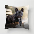 Axyaa French Bulldog Cushion Cover - 45X45CM
