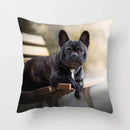 Axyaa French Bulldog Cushion Cover - 45X45CM