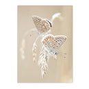 Axyaa Chrysanthemum Butterfly Canvas Print - Nordic Beach Wall Art Poster