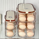 Axyaa Egg Carton Organizer: Sliding, Automatic, Kitchen Countertop Egg Shelf