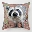 Axyaa Raccoon Wildlife Print Pillowcase for Home Bed Chair Decor