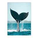 Dolphin Whale Starfish Sea Life Canvas Painting Set by Axyaa