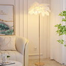 Modern Ostrich Feather LED Floor Lamp by Axyaa | Bedroom Bedside & Living Room Stand Lights