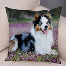Scottish Border Collie Pillowcase - Axyaa Dog Print Decor Cushion Cover