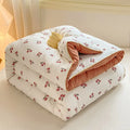 Axyaa Class A Cotton Soybean Quilt | Thickened Winter & Spring Quilt