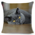 Axyaa British Shorthair Russian Blue Cat Cushion Cover - Cute Pet Animal Pillowcase