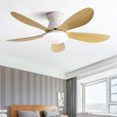 Axyaa Ceiling Fan Light Remote Control Small Living Room Dining Room 110V 220V