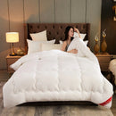 Axyaa Winter Antibacterial Class A Cotton Quilt - 6kg Single/Double Space Quilt