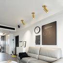 Axyaa LED Ceiling Lights: Adjustable Lampshade, Perfect for Dining Room, Kitchen, Bedroom
