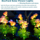Axya Solar Flower Lights: Outdoor Waterproof LED Landscape Decoration