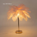 Modern Ostrich Feather LED Floor Lamp by Axyaa | Bedroom Bedside & Living Room Stand Lights