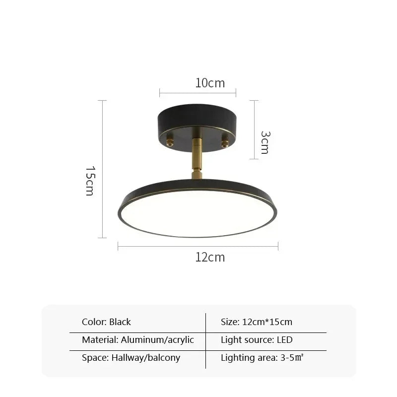 Axyaa Rotatable LED Ceiling Light for Home Decor