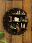 Black Snake Butterfly 3-Tier Floating Wall Shelf by Axyaa