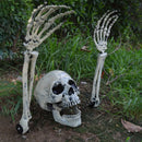 Halloween Skeleton Stakes with Crows for Axyaa Halloween Party Decor