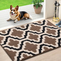 Axyaa Washable Indoor Entryway Door Mat Non-Slip Absorbent Resist Dirt Floor Mat