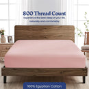 Axyaa Luxury 800TC Egyptian Cotton Bed Sheet Set, Ultra Soft Solid 3-Piece Kit