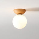 Axyaa Modern LED Ceiling Light Fixture Iron Glass Nordic Lamp.
