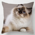 Axyaa Cat Collection Pillowcase - Home & Office Decor Square Pillowcase
