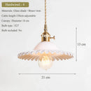Axyaa Glass Pendant Light E27 Base Adjustable Ceiling Lamp for Living Room