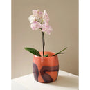 Axyaa Marbled Large Mouth Butterfly Orchid Glass Vase Desktop Decor