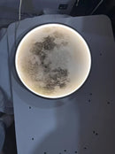 Axyaa Moon Wall Light - Artistic Ceiling & Bedside Lamp for Living Room & Aisles