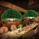 Axyaa Retro Plant Chandelier for Restaurant & Bar Industrial Loft Decor