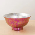 Axyaa Double-Layer Titanium Bowl & Spoon Set - Large, Anti-Scalding, Vacuum Tableware