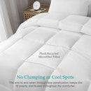 Axyaa All Season Oversized Queen White Comforter - Cotton Cover, Down Alternative Fill