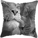 Wild Animals Lions Tigers Cushion Cover - Axyaa Luxury Home Decor