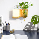 Axyaa Green Plant Wall Lamp with Pull Switch - Indoor Wood Sconces