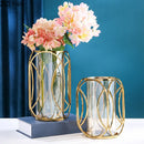 Axyaa Glass Vase Hydroponics Flower Pot Desk Decoration - Room Aesthetic Decor