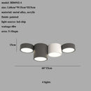 Axyaa Nordic Minimalist LED Ceiling Lamp Black White Cylinder Lighting Fixtures