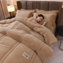 Axyaa Thermal Lamb Velvet Quilt - Thick & Double-faced - Warm & Comfortable