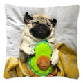 Axyaa Influencer Pug Cushion Cover - Funny Dog Home Decor Pillow Case