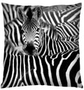 Axyaa 3D Animal Print Cushion Covers (18" x 18") - Cute Collection