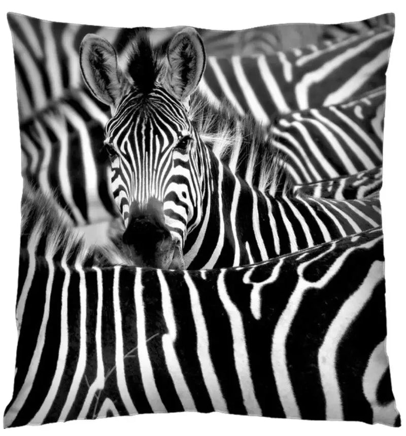 Axyaa 3D Animal Print Cushion Covers (18" x 18") - Cute Collection