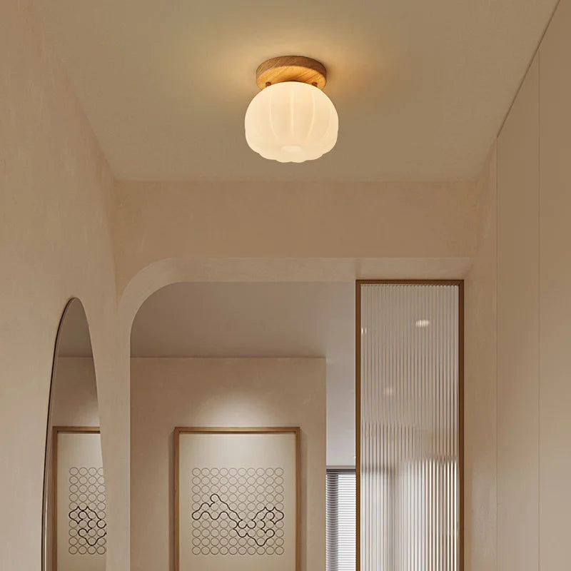 Axyaa Modern LED Ceiling Light for Indoor Lighting - Nordic Style Balcony Living Room Fixture