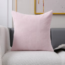 Axyaa Soft Plush Velvet Cushion Cover in Various Colors 45x45