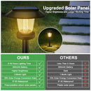 Axyaa Solar Pathway Lights: LED Outdoor Landscape Lamps for Yard Garden Walkway