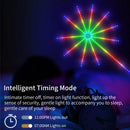 Axyaa Firework LED String Lights with Remote Control & Music Sync
