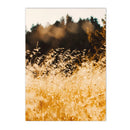 Nordic Wheat Grass Landscape Canvas Wall Art Print for Living Room Decor by Axyaa