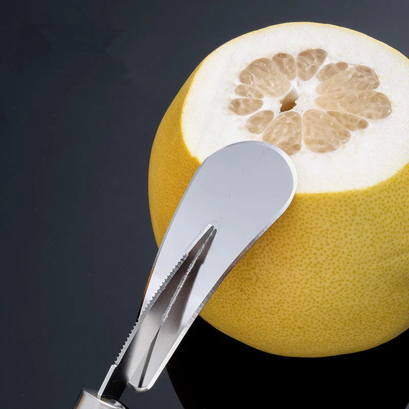 Axyaa Stainless Steel Fruit Peeler & Cutter for Citrus and Grapefruit