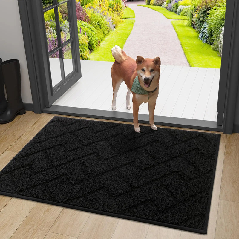 Axyaa Front Entry Indoor Doormat - Washable Non-Slip Absorbent Resist Dirt Mat