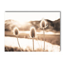 Axyaa Dried Grass Reed Landscape Wall Art Print for Home Decor