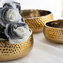 Axya Ceramic Orchid Flower Pot Set